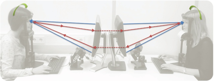 Fig. 1