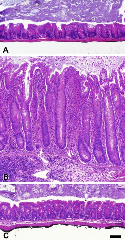 Fig. 3.