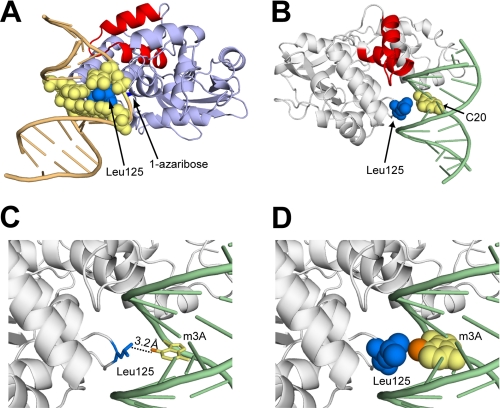 FIGURE 4.