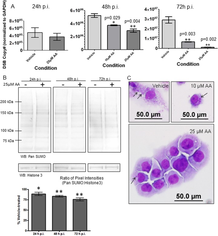 FIG 6