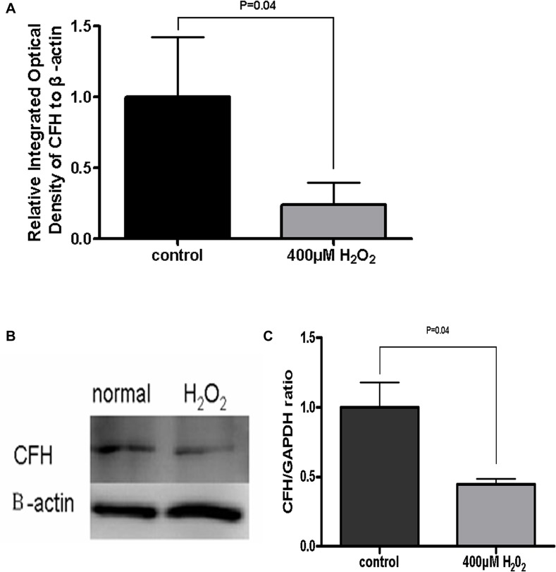 Fig 4