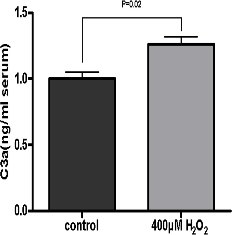 Fig 5