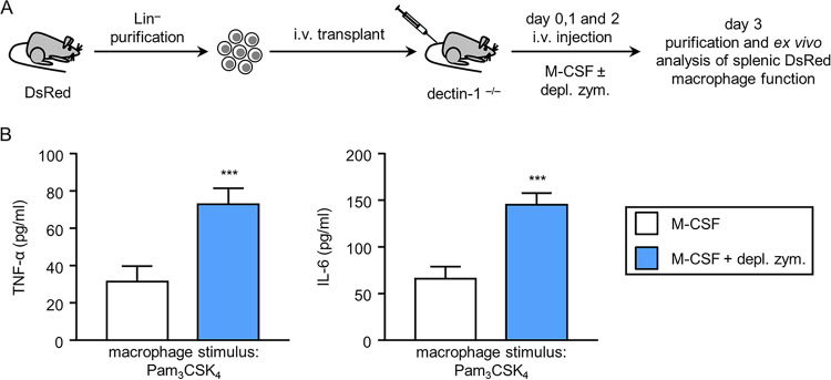 FIG 3