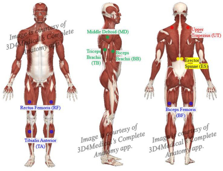 Figure 4