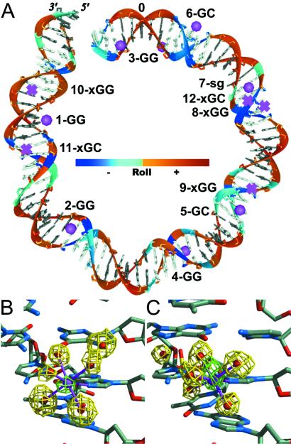 Fig 1.