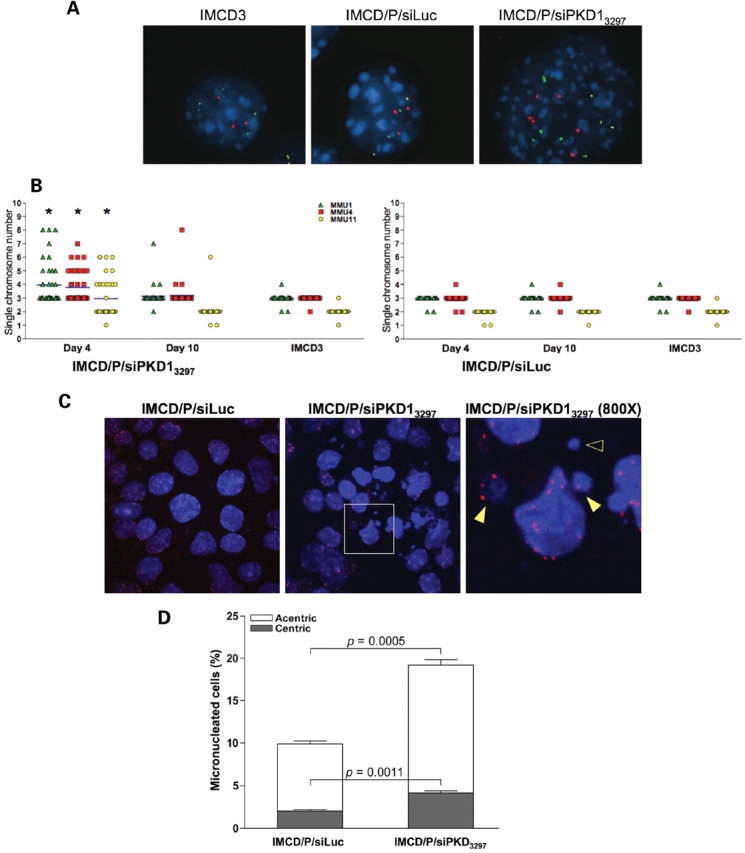 Figure 2.