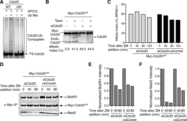 FIGURE 5: