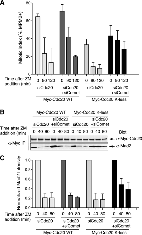 FIGURE 4: