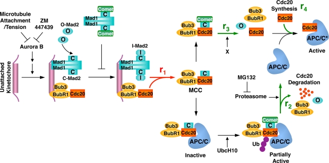 FIGURE 6: