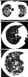 Fig. 5