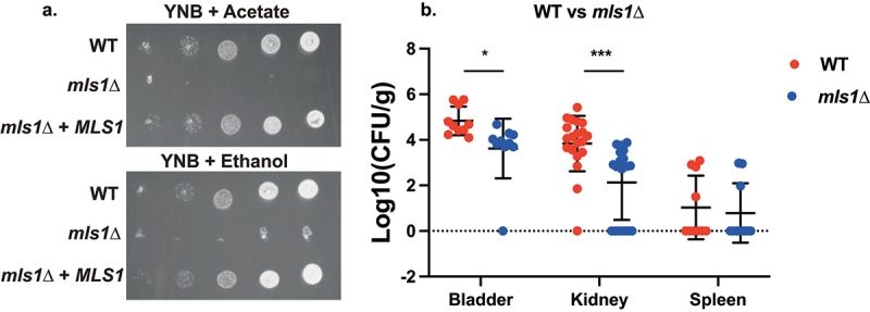 Figure 6.