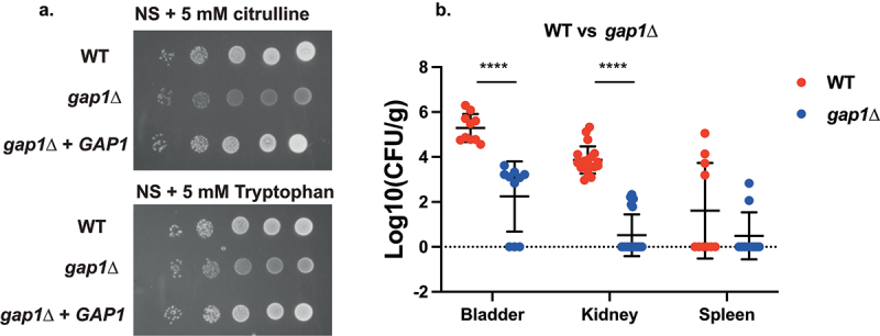 Figure 5.