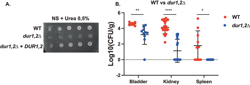 Figure 4.