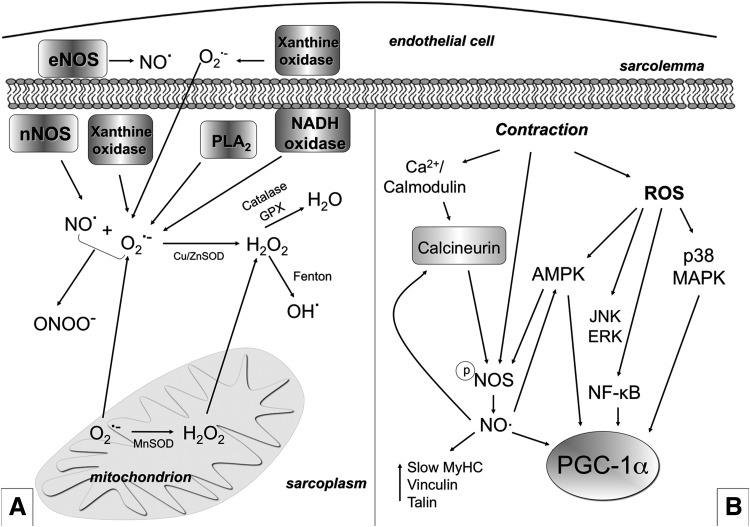 FIG. 7.