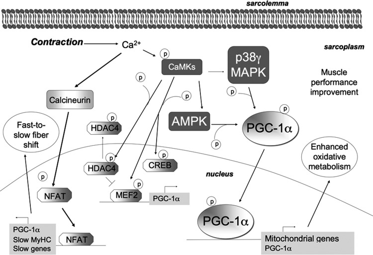 FIG. 6.