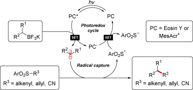 Scheme 4