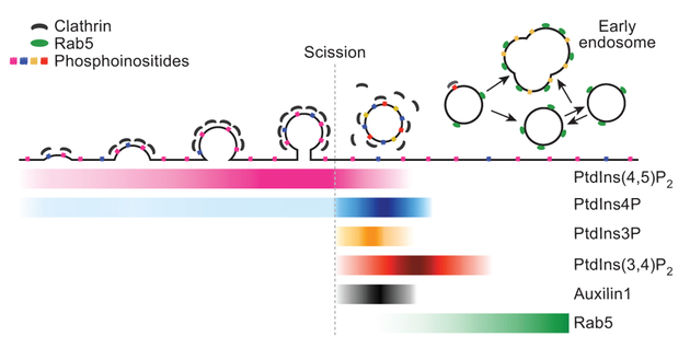 Figure 5 |