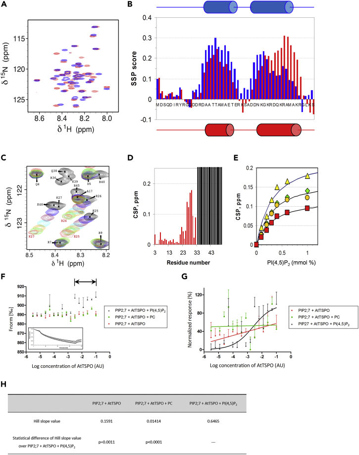 Figure 6