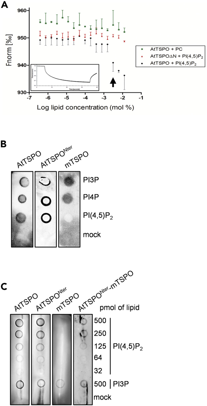 Figure 4