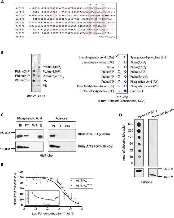 Figure 3