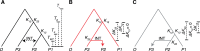 <sc>Fig</sc>. 1.