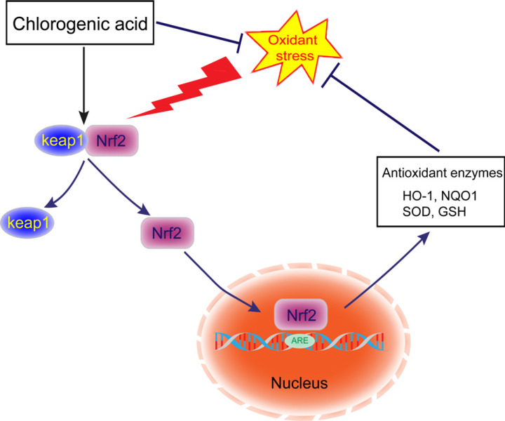 Fig. (3)