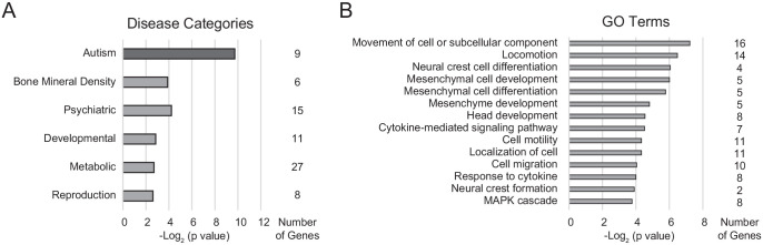 Figure 5—figure supplement 3.