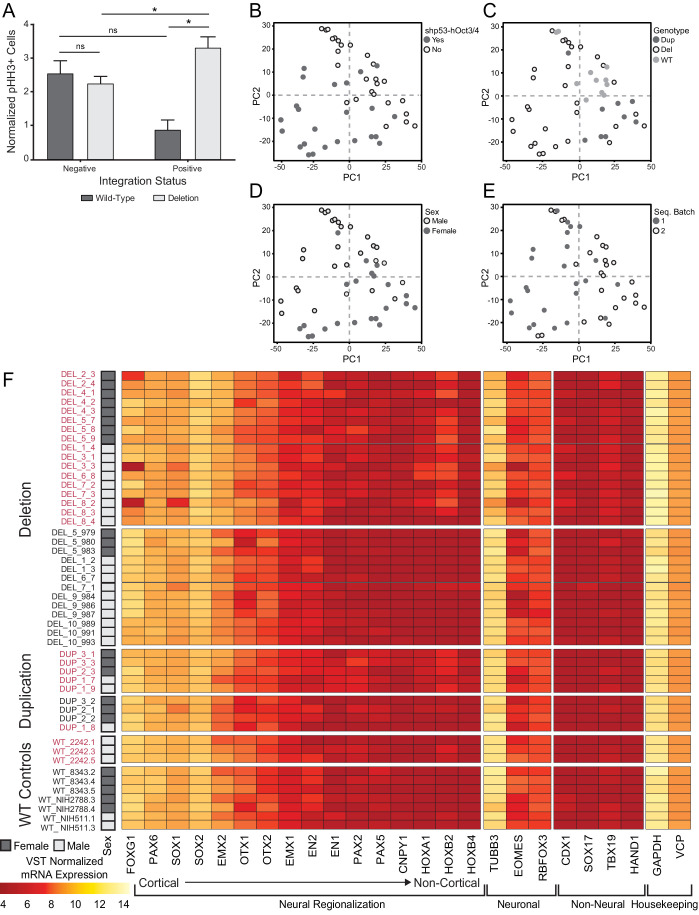 Figure 4—figure supplement 2.