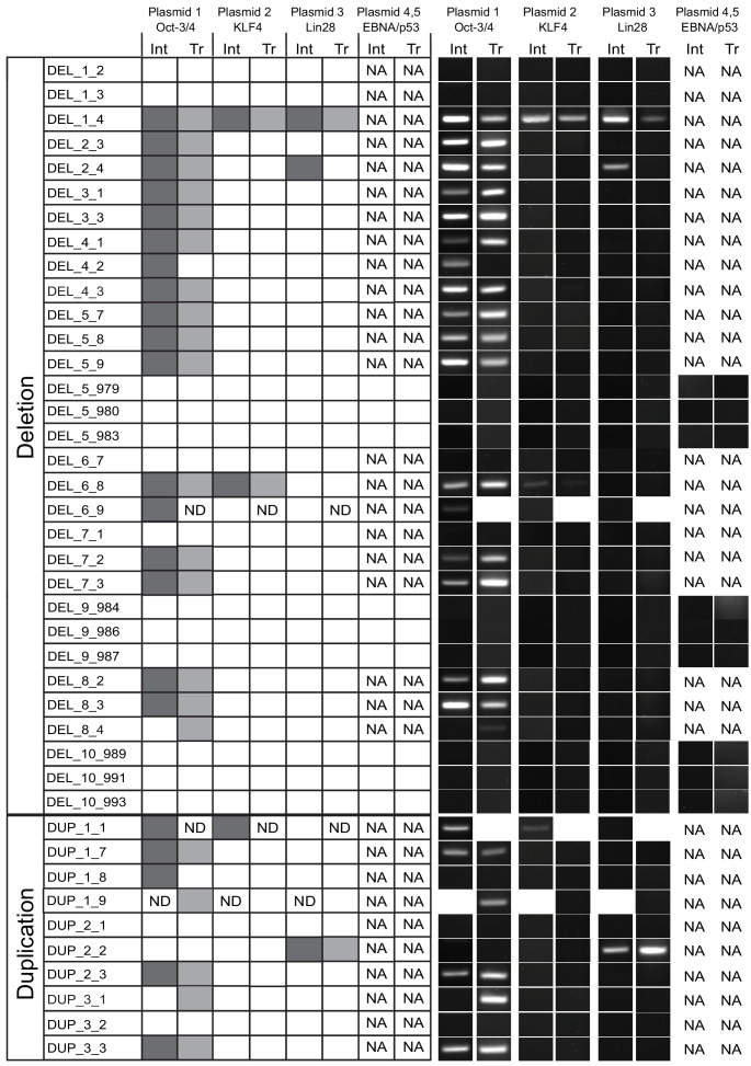 Figure 4—figure supplement 1.