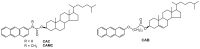 Figure 27