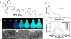 Figure 26