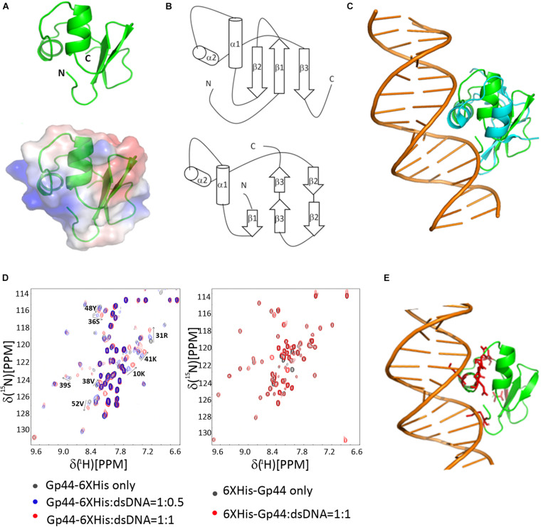 FIGURE 3