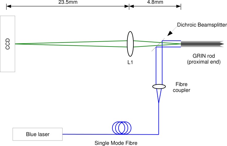 Fig. 1