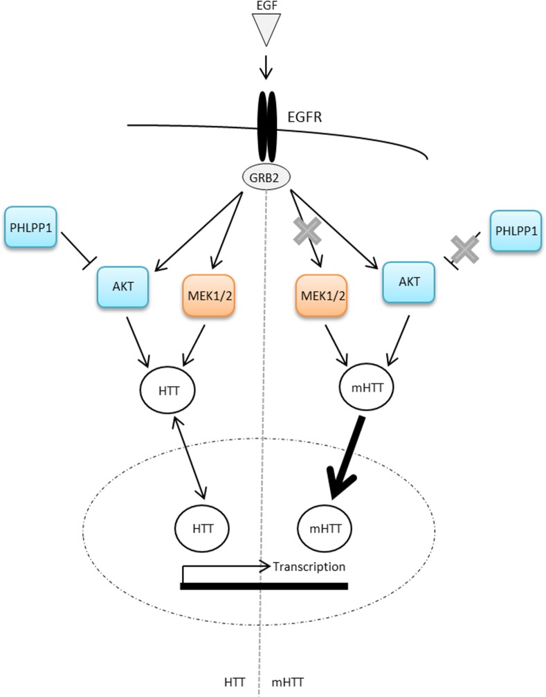 Fig 9