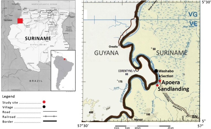 Fig. 1