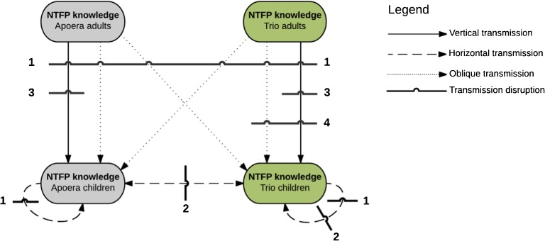 Fig. 7