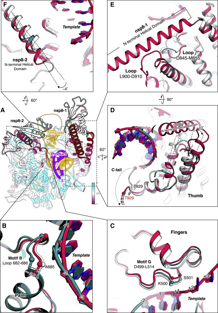 Figure 4