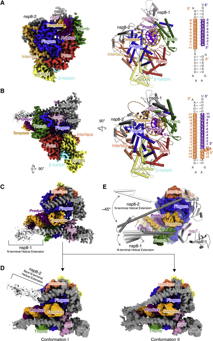 Figure 2