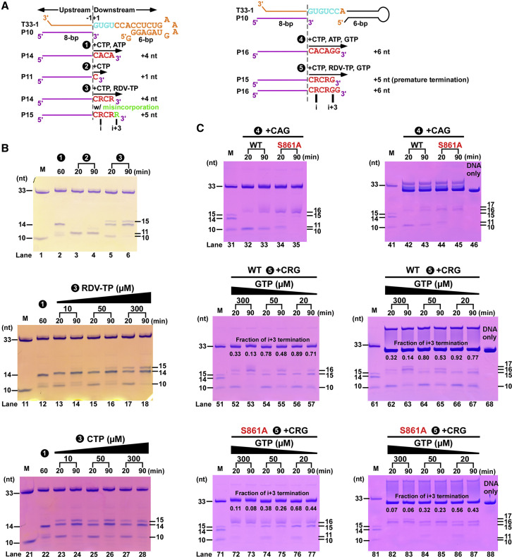 Figure 6