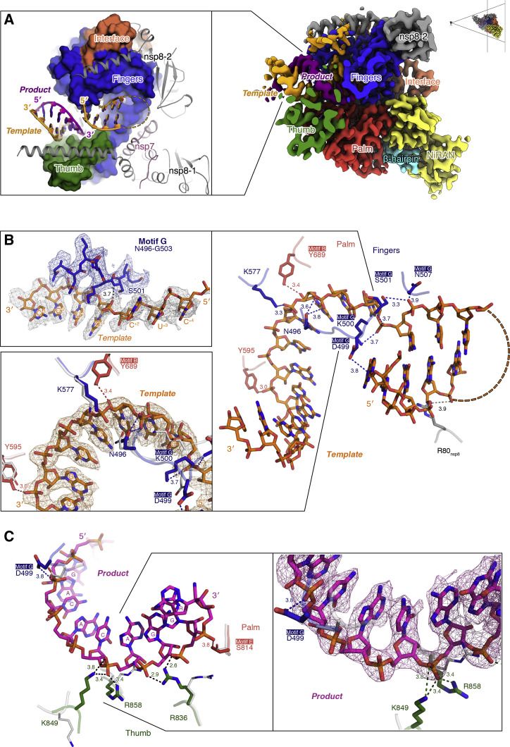 Figure 3