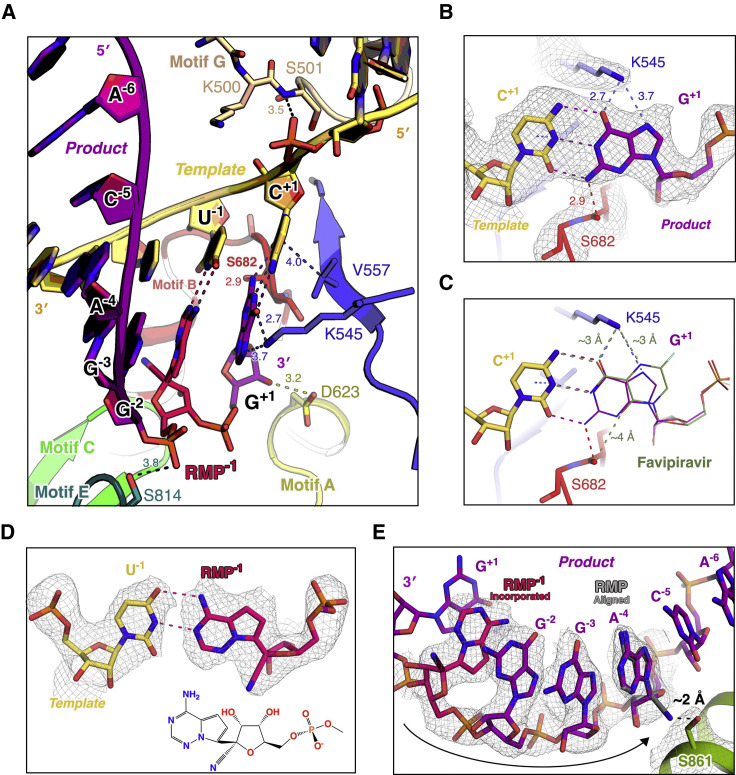 Figure 5