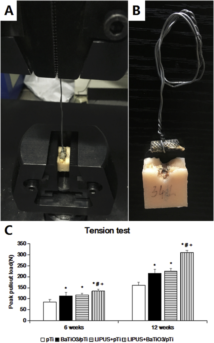 Fig. 11