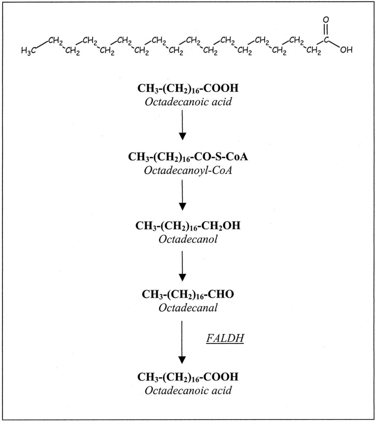 Fig 1.