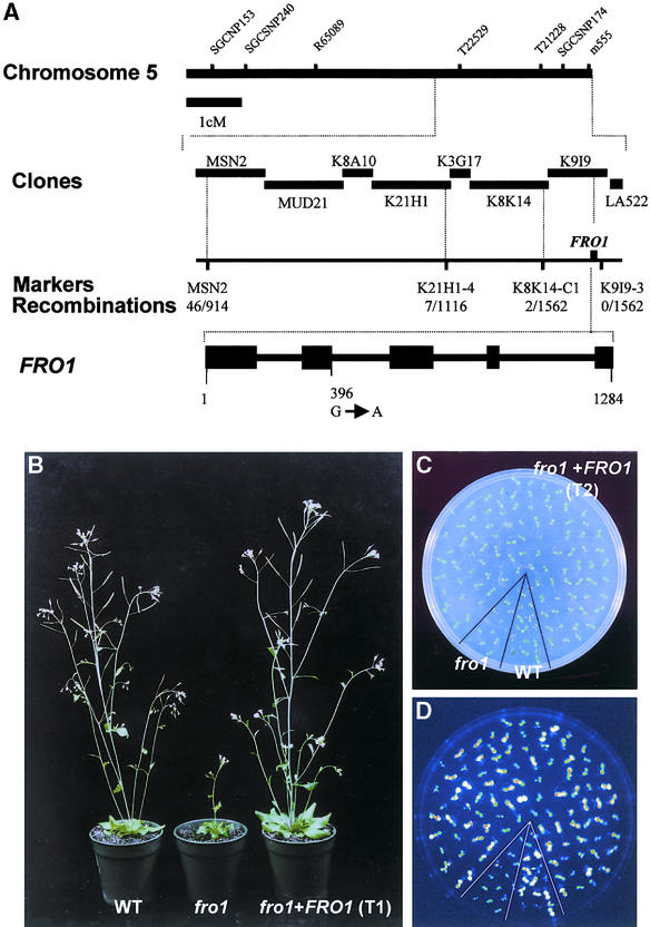 Figure 10.