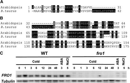 Figure 11.