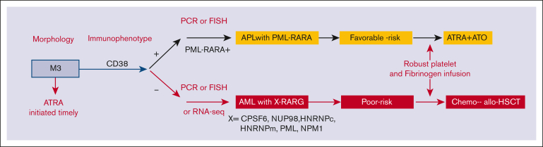 Figure 4.