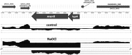 <b>FIG. 3.</b>