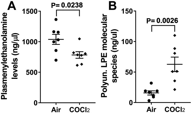 Figure 9.