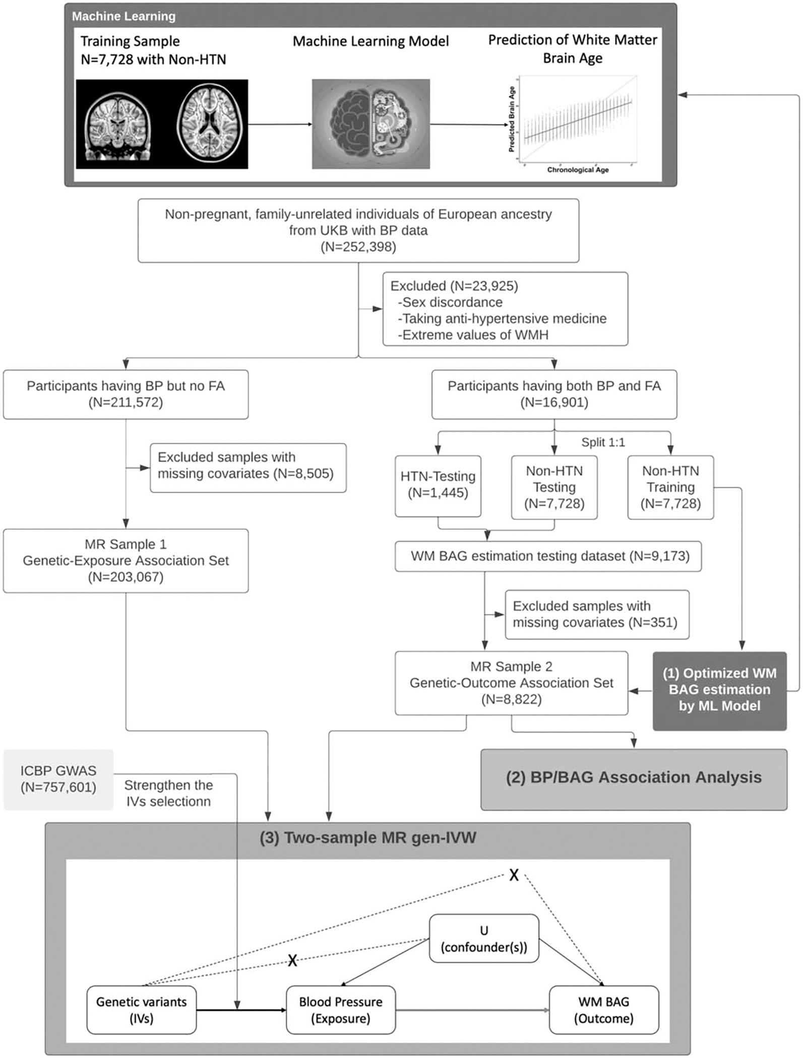 FIGURE 1