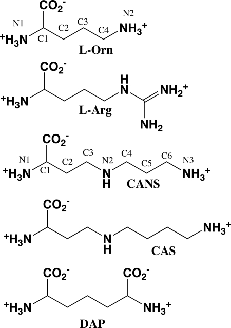 FIGURE 1.